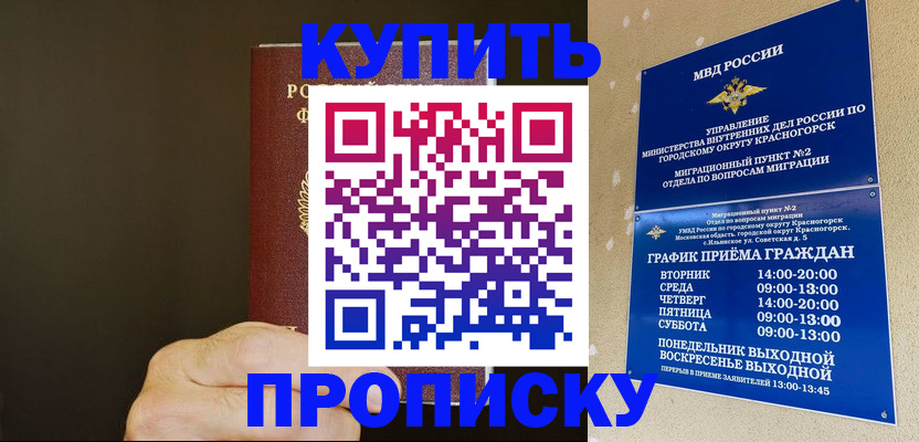прописка поиск в Пушкино
